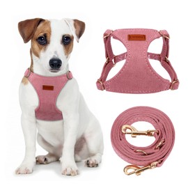 CHEDE No Pull Puppy Harness and Multifunction Dog Leash Set- 8 Colors Soft Adjustable No Choke Escape Proof Cute,Lightweight Pet Vest Harness for Small and Medium Dog (M, Antique Pink)