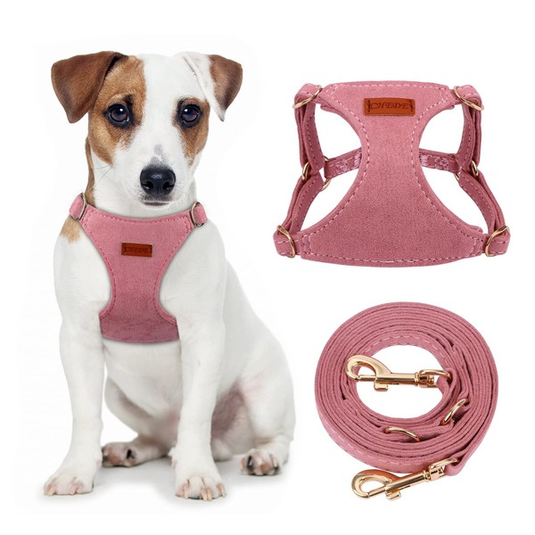 CHEDE No Pull Puppy Harness and Multifunction Dog Leash Set-