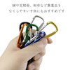 Schicksal. Expandable Carabiner Set of 3, Strap, Key Reel, Keychain,