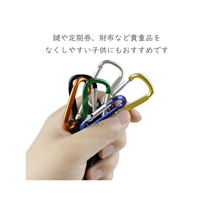 Schicksal. Expandable Carabiner Set of 3, Strap, Key Reel, Keychain,