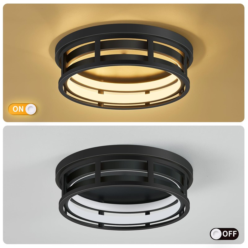 ZHU YAN LED Flush Mount Ceiling Light Fixture,Modern Hallway Light