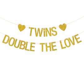 Twins Double the Love Banner - Baby Shower Party Supplies - Twins 1st Birthday - We are One Oh Babies Party Decorations - Gold Glitter