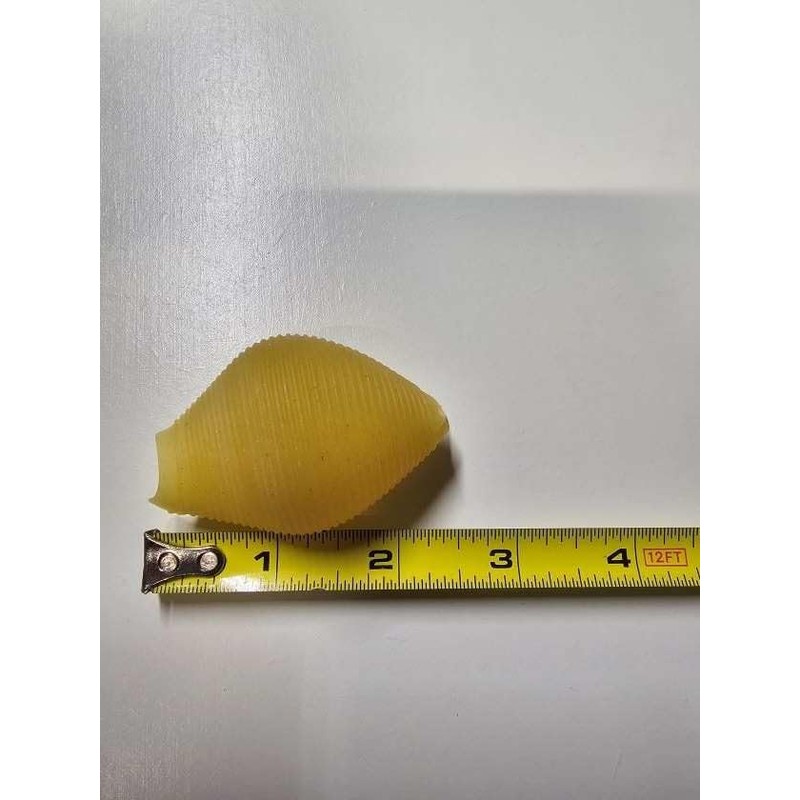 Jellybean Foods Jumbo Stuffing Shells Pasta - Large Pasta Shells