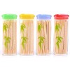 100approx Wooden Dental Tooth Picks Bamboo Toothpicks Portable Case Oral