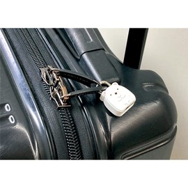 Tees Factory Sumikko Gurashi SG-5541523SI Mascot Padlock Keychain, Polar Bear, H 1.2 x W 1.0 x D 0.4 inches (3.1 x 2.5 x 1 cm)