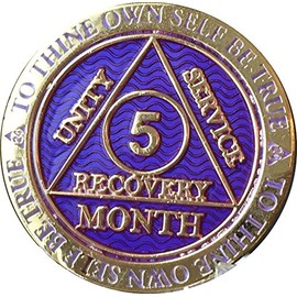 5 Month AA Medallion Reflex Purple Gold Plated Chip