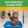 Feline Pine Platinum Non-Clumping Cat Litter, Feline Pine Cat Litter