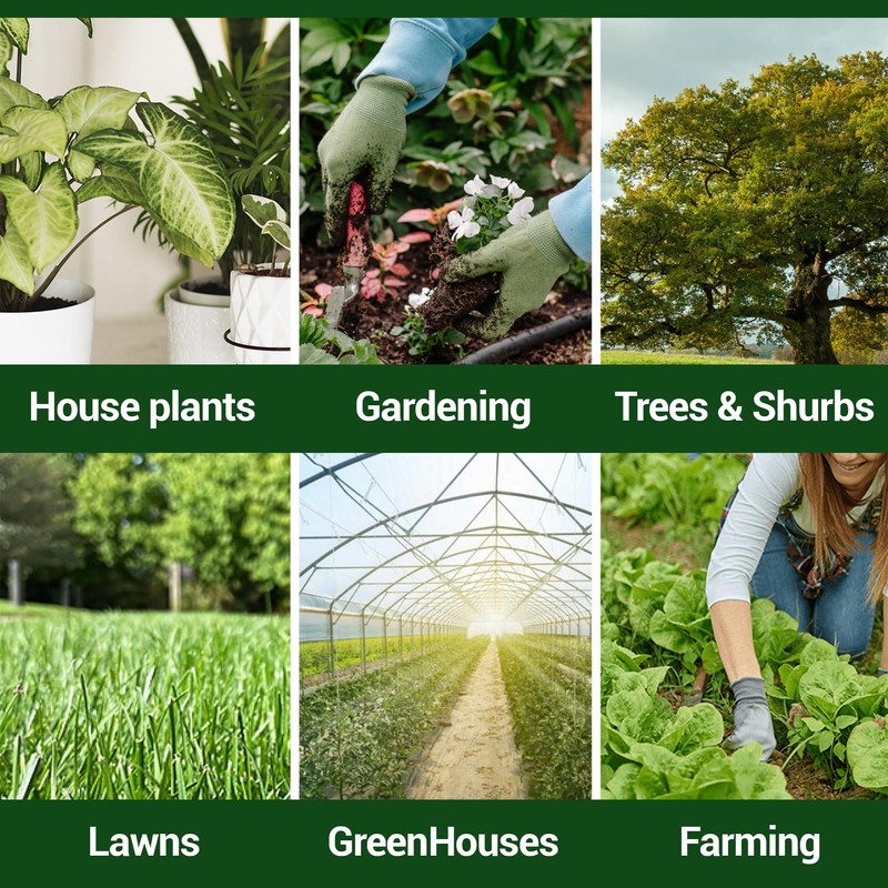 Elm Dirt's Bloom Juice for All Flowering Plants (1-32 oz