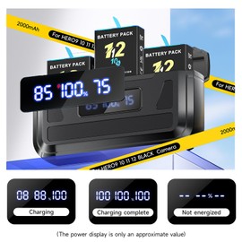 Hero 12/11/10/9 Battery Charger for GoPro Hero 12/11/10/9 Battery with Type-C Cord and TF Card Storage, Fully Compatible with Original GoPro Battery