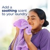 Downy Calm In-Wash Laundry Scent Booster Beads, Soothing Lavender and