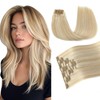 Pinkpearl Clip in Hair Extensions #27P60 Caramel Blonde Highlighted Platinum