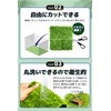 Professional Perspective: Reptile, Amphibians, Artificial Turf, Rearing Mat, Flooring Material,