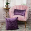 Parkland Collection Sora Transitional Purple Throw Pillow