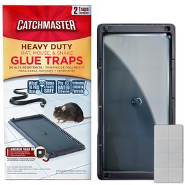 Catchmaster Rat & Mouse Glue Traps with Sticky Putty 2Pk, Large Bulk Glue Board, Rat & Mouse Traps Indoor for Home, Adhesive Plastic Tray for Snakes, Mice & Spiders, Pet Safe Pest Control