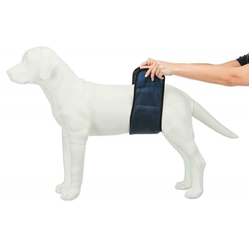 Trixie Bauchband für männliche Hunde, L: 55-65 cm