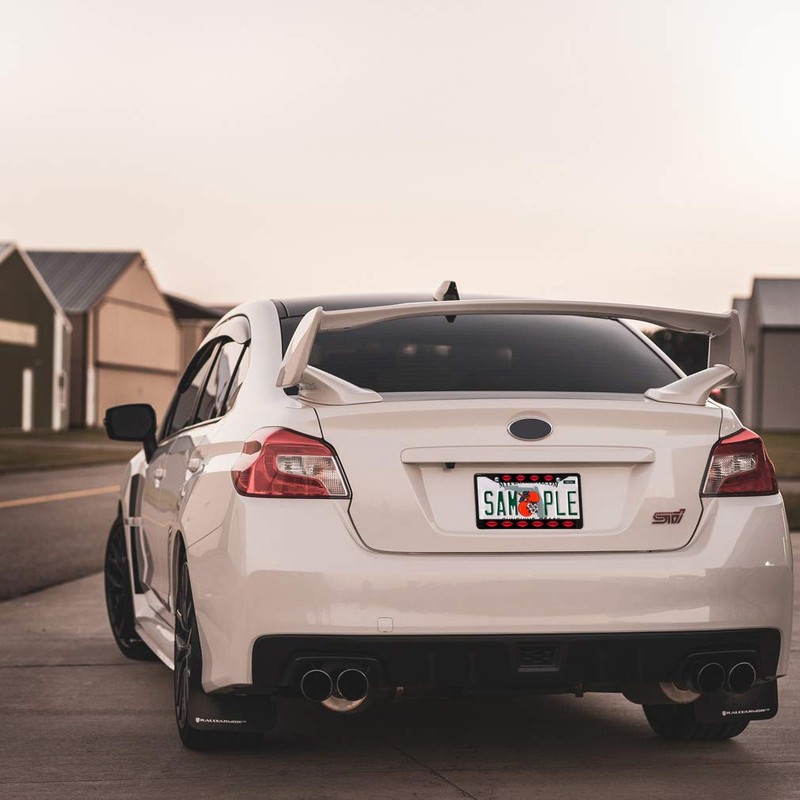 Fastasticdeals Metal Insert License Plate Frame Red Lips Stick Weatherproof