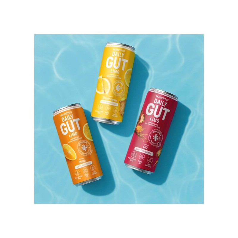 브레인이펙트 BRAINEFFECT 데일리 굿 진저 레몬 맛 330ml Braineffect Daily