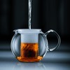 Bodum Assam Tea Press with Glass Handle and Coloured Plastic