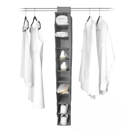 Escanver Organizador Closet Zapatos Bufandas 10 Espacio Colgable Gris