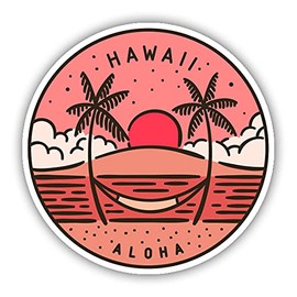 Squiddy Hawaii - Vinyl Sticker Decal for Phone, Laptop, Water Bottle (3" Wide)