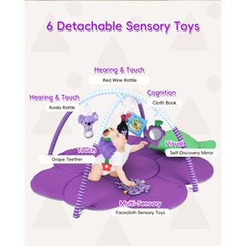 Heypappy Tummy Time Mat, 9-in-1 Grape Baby Play Gym Mat, Oversize Baby Play Activity Mat with Sunshade & 6 Detachable Sensory Toys, Washable Non-Slip Mat for Newborn Infant Baby Essentials Gift