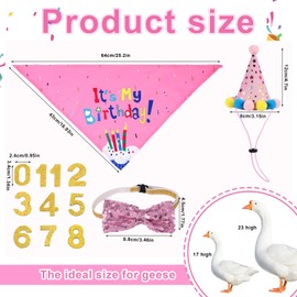 BOXOB Happy Birthday Porch Goose Outfits, Goose Costume Clothes Birthday Bandana Hat Bow Tie 0-8 Number Stickers for Yard Lawn Cement Plastic Geese Ducks Decorations Accessories Decor(Pink)