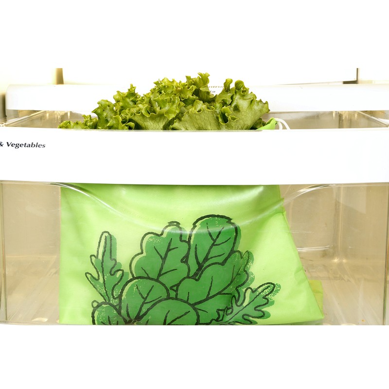 Stay Fresh Lettuce Bag ステイフレッシュレタスバッグ CU240