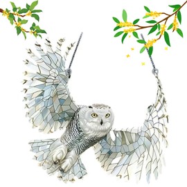 Sherum Spirit Birds,Yifare Spirit Birds,Sheremart Spirit Birds,Outfany Spirit Birds,Ribili Hummingbird Suncatchers for Windows Hanging,Acrylic Birds Christmas Decoration for Bird Lovers (C)