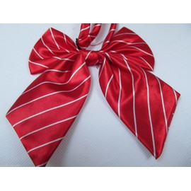 Fat-catz-copy-catz Ladies girls fashion satin bow neck tie cravat 15+ colours party fancy dress: leopard, spotted, stripes (Ladies Red/White Stripe Tie)