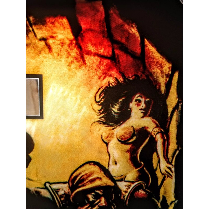 STERN CATACOMB Pinball Machine Translite BACKGLASS