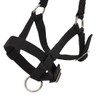 PFIFF 103101 Alpaca Halter "Pako", Adjustable Size for Alpacas, with