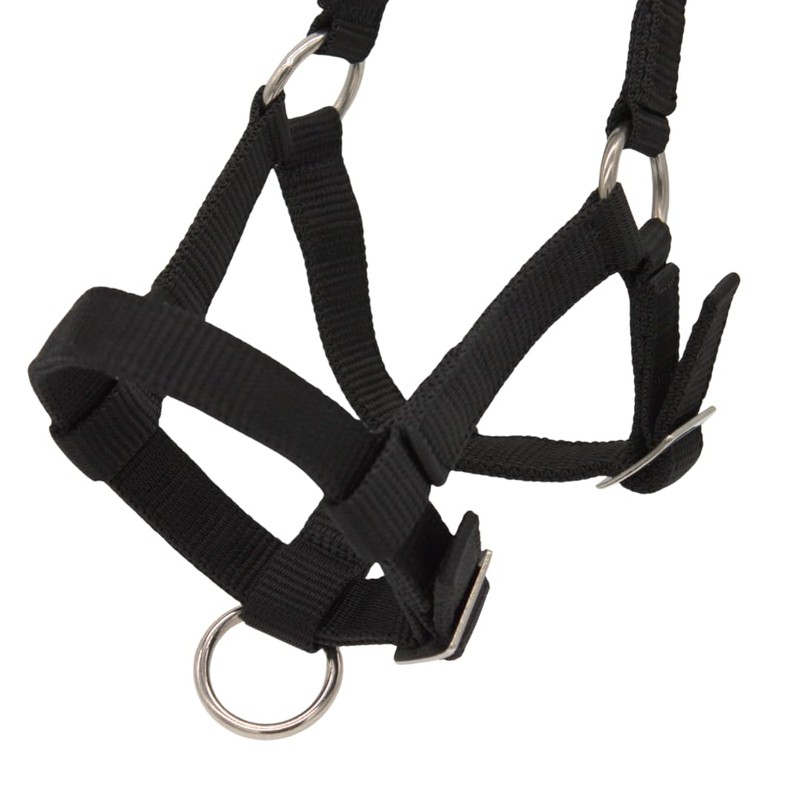 PFIFF 103101 Alpaca Halter "Pako", Adjustable Size for Alpacas, with