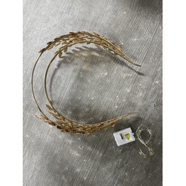 DRESBE Light Up Greek Goddess Headband LED Leaf Headbands Glow Roman Hair Accessories for Women (Gold, Free Size)