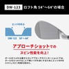 Kasco Dolphin Wedge DW-123 HEAD 60