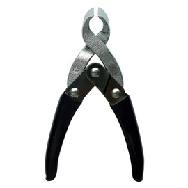 古沢 Edison with Fingernail Clippers