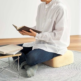 Cogit 93057 Square Cushion, Agri, Long Time, Fatigue, Easy Posture, Multi-functional, Cream Beige, Standard