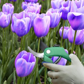 Nevlers - Tijeras de podar profesional para jardinería de alta resistencia, tijeras de podar para árboles, podadora de mano, cuchillas de acero inoxidable | 8 mm de capacidad de corte..., Bypass