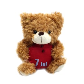 Take Off Plush BEAR'S365 July Brown
