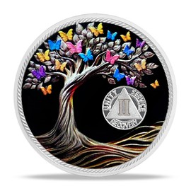 Imasoner Celebrate Sobriety Milestones with 2 Year AA Sobriety Coin - Tree of Life Medallion for Men and Women - 2 Year Alcoholics Anonymous Recovery Chip with Capsule, Display & Card
