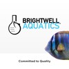 Brightwell Aquatics SpongExcel – Ionic Silica Solution for Marine Sponge