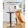 ErGear ErGear Height Adjustable Electric Standing Desk, 48 x 24