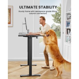 ErGear ErGear Height Adjustable Electric Standing Desk, 48 x 24 Inches Sit Stand up Desk, Memory Computer Home Office Desk (Black)