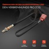 Frankberg Lambdasonde Diagnosesonde Kompatibel mit A8 4E2 4E8 6.0L 2003-2010