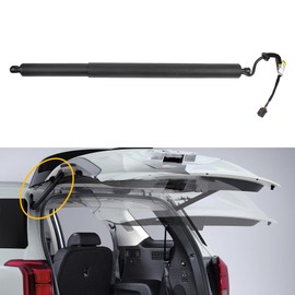 Dasbecan Rear Electric Tailgate Power Lift Support Shock Strut Compatible with Hyundai Palisade 2020 2021 2022 2023 2024 Replaces# 81831-S8100 81831S8100 Left Side 1 Pcs