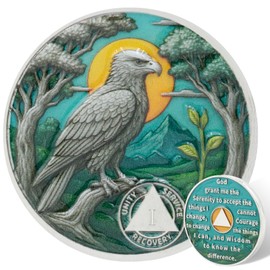 Leafence Eagle AA Sobriety Coin Alcoholics Anonymous Recovery Coin Serenity Prayer AA Chips and Medallions Sober Token Sobriety Recovery Coins Gifts (Soaring Eagle Sobriety Coin, 1 Year)