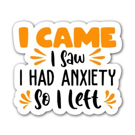 STICKYAME I Came I Saw I Had Anxiety So I Left Stickers, Motivational Sticker, Water Assitant Die-Cut Vinyl Stickers Decals for Laptop Phone Kindle Journal Water Bottles, Sticker for Women, Mental Health Awareness, Mental Health Stickers, Inspirational S