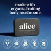 Alice Mushrooms Nightcap | Mushroom Chocolates | Supports Deep Sleep,