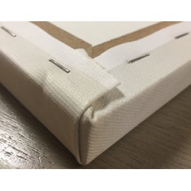 Roaring Brook Beautiful Watercolor-Style Succulent Floral Panels by TRE Sorelle Studios; Two 12x36in Hand-Stretched Canvases