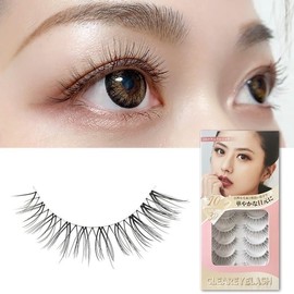 CLEAREYELASH Natural False Eyelashes 3D 3D Matsueku 10 Pairs (C01 Natural Rich)