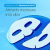 Cryo Rubber with Moisturizing Hyaluronic Acid by Dr. Jart+ for